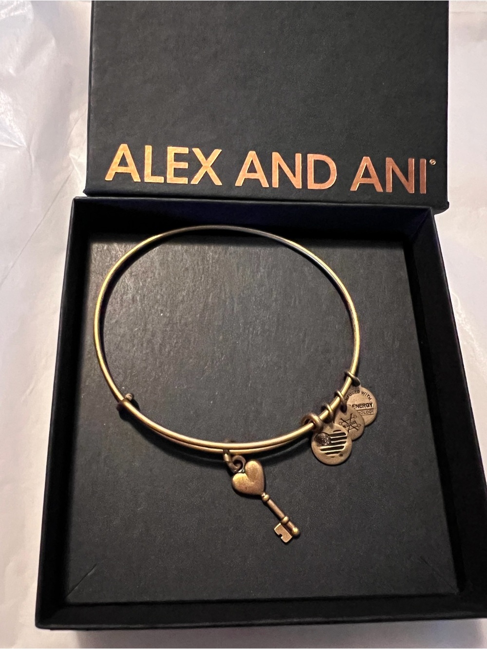 Alex and Ani Gold Key Heart Charm Expandable Bangle